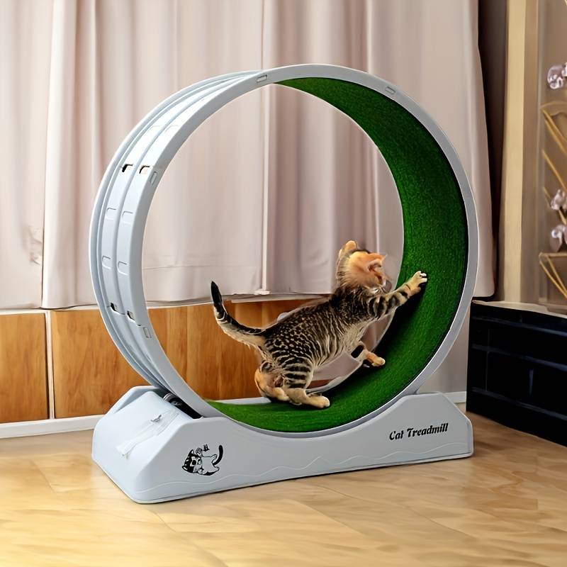 Cat Exercise Treadmill