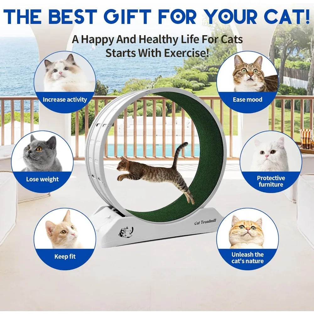 Cat Exercise Treadmill